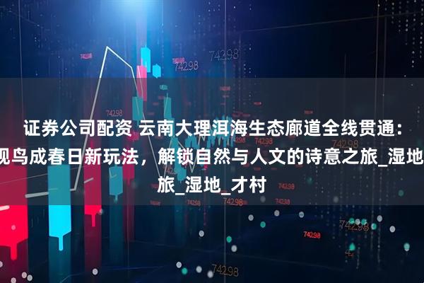 证券公司配资 云南大理洱海生态廊道全线贯通：骑行观鸟成春日新玩法，解锁自然与人文的诗意之旅_湿地_才村