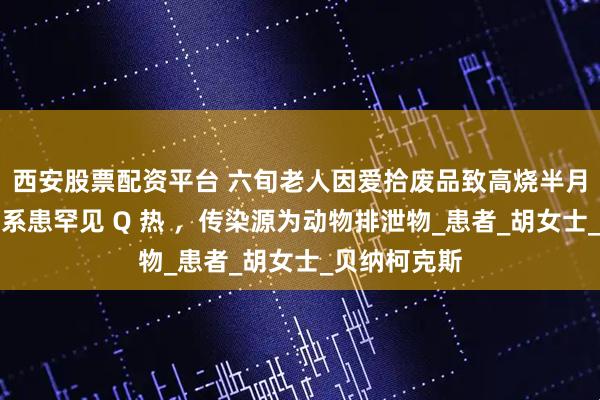 西安股票配资平台 六旬老人因爱拾废品致高烧半月余，医生：系患罕见 Q 热 ，传染源为动物排泄物_患者_胡女士_贝纳柯克斯