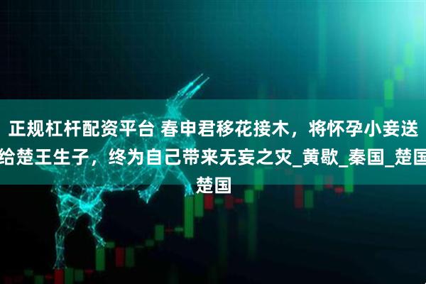 正规杠杆配资平台 春申君移花接木，将怀孕小妾送给楚王生子，终为自己带来无妄之灾_黄歇_秦国_楚国