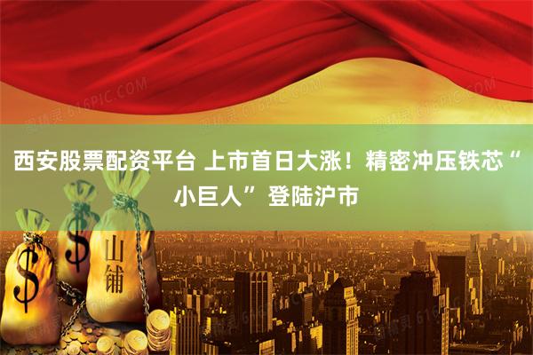 西安股票配资平台 上市首日大涨！精密冲压铁芯“小巨人” 登陆沪市